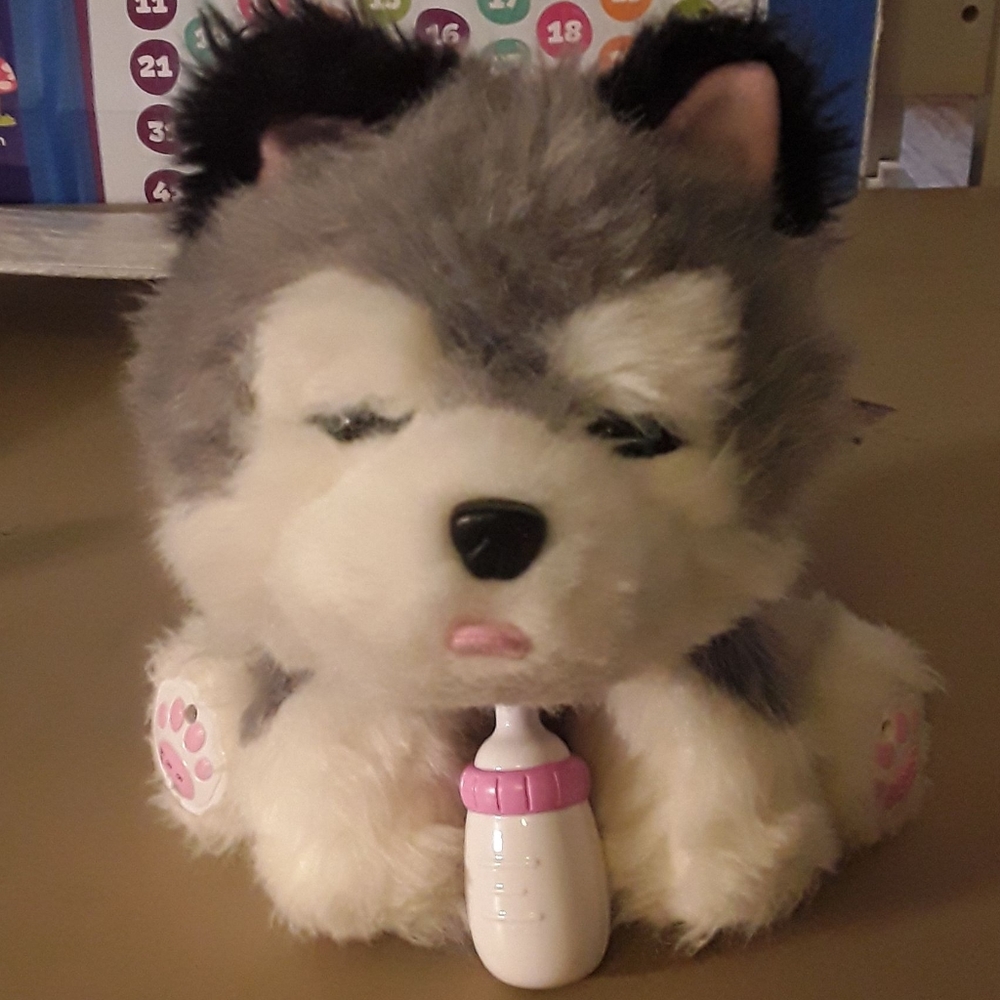 Live pet toy "Frosty" *Fundraising sale*